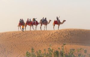 Desert Safari